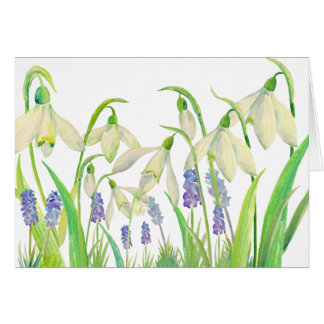 Aquarell Snowdrops und Muscari