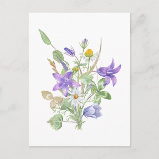 Aquarell-Sommerblumen  Postkarte (Vorderseite)