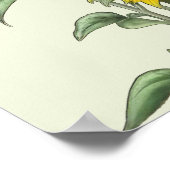 Aquarell-Sonnenblumenposter Poster (Ecke)