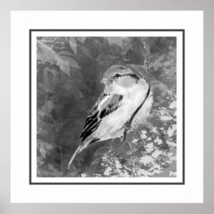 Aquarell-Sperling-Vogel im Wald Poster