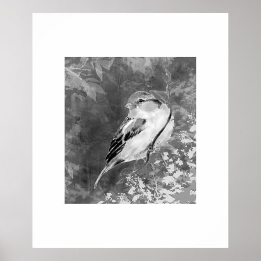 Aquarell-Sperling-Vogel im Wald Poster (Vorne)