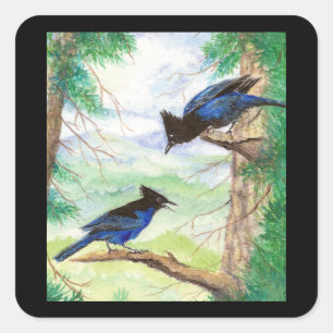Aquarell Stellar Jay Vögel Wald Bäume Quadratischer Aufkleber