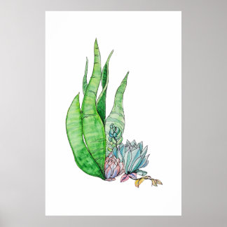 Aquarell Sukkulenten Botanische Grünpflanzen Poster