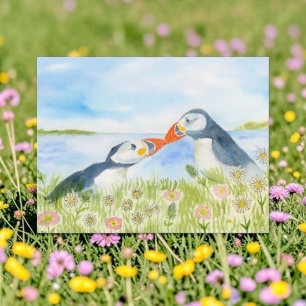 Aquarell Süße Papageientaucher auf einer Blumenwie Feiertagspostkarte