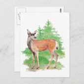 Aquarell, Tierart Postkarte (Vorne/Hinten)