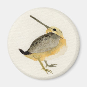 Aquarell Timberdoodle Malerei Magnet