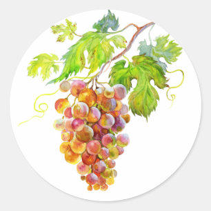 Aquarell-Traubenstrauß-Botanik-Gemälde Runder Aufkleber