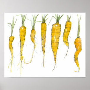 Aquarell-Tuschezeichnung von Karotten im Garten Poster