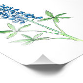 Aquarell und Pen Bluebonnet Fotodruck (Ecke)