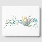 Aquarell Unterhalb des Gästebuches der Meeresquall Gästebuch (Rückseite)