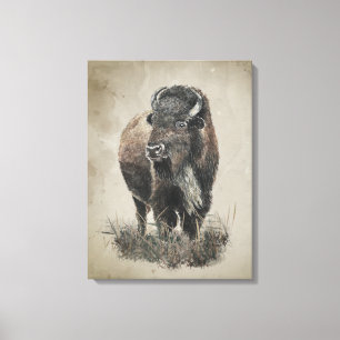 Aquarell-Vintage-Look Bison Büffel Tier Kunst Leinwanddruck