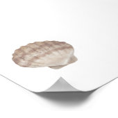 Aquarell Vintager Muscheldruck Poster (Ecke)