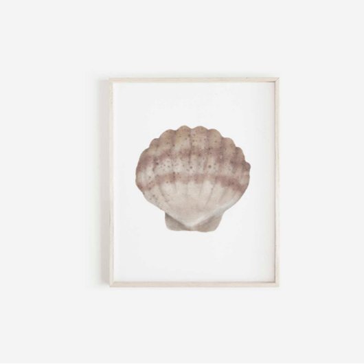 Aquarell Vintager Muscheldruck Poster