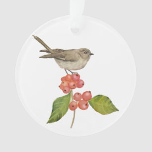 Aquarell-Vögel "Sylvia curruca" Ornament