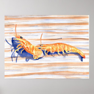Aquarell von Garnelen auf einem Dock, Angelköder Poster