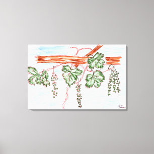 Aquarell von Reben mit Trauben Frankreich Leinwanddruck