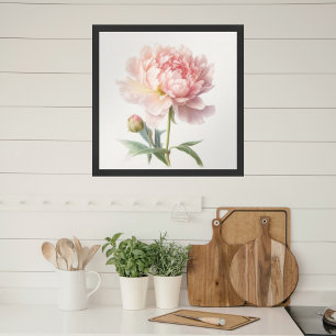 Aquarell-Weiche rosa Pfingstrose in Blüte Quadrat Poster