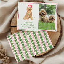 Aquarell-Weihnachts-Santa-Hund-Foto