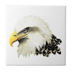 Aquarell-Weißkopfseeadler-Vogel-Tier-Kunst Fliese