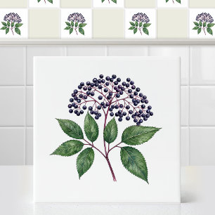 Aquarell-Wilde-Herbst-Eldenberry-Fruchtzweig Fliese