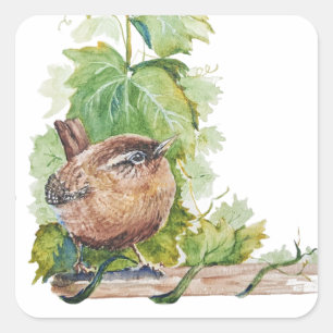 Aquarell-Zaunkönig-Vogel-Weingut-Trauben-Blätter-W Quadratischer Aufkleber