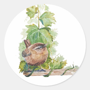 Aquarell-Zaunkönig-Vogel-Weingut-Trauben-Blätter-W Runder Aufkleber