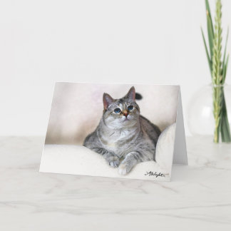 Aquarell Zilla Karte