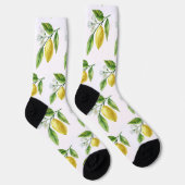Aquarell-Zitronen-Muster-Socken Socken (Rechts)