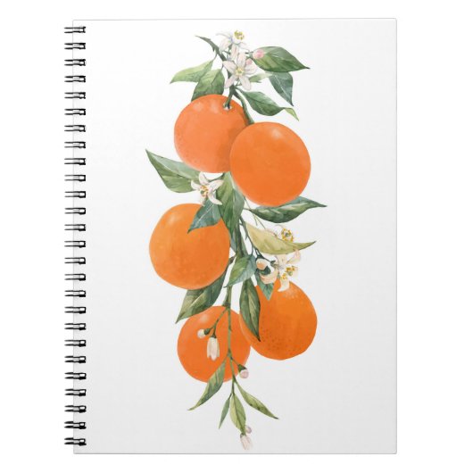 Aquarell-Zitrusfrüchte Orange Zitrone Notizblock (Vorderseite)