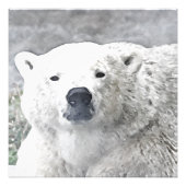 Aquarellbär Fotodruck (Vorne)