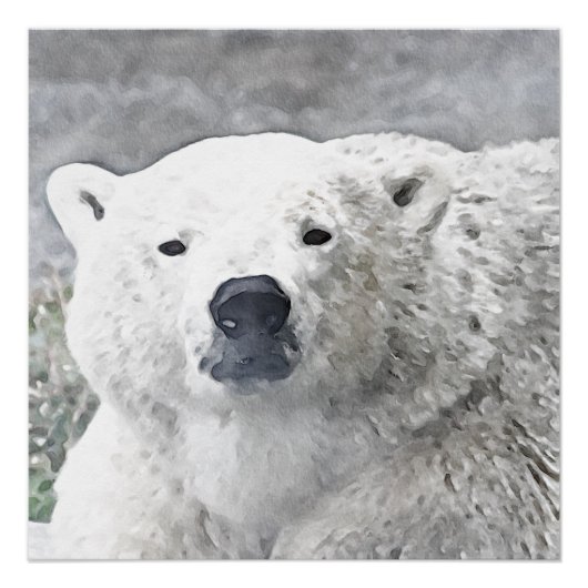 Aquarellbär Poster (Vorderseite)