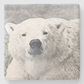 Aquarellbär Steinuntersetzer (Vorderseite)