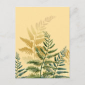 Aquarellbäume 2 postkarte (Vorderseite)