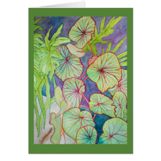 Aquarellbegonie und Philodendron