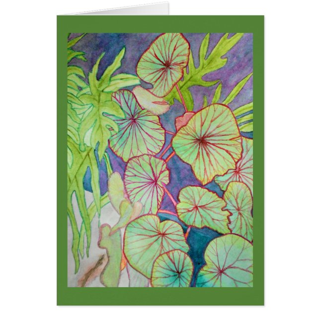 Aquarellbegonie und Philodendron (Vorne)