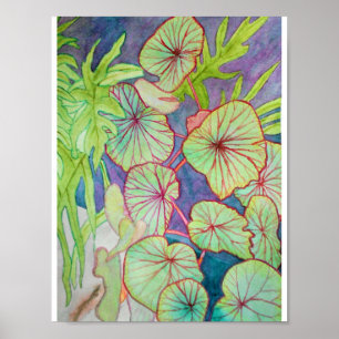 Aquarellbegonie und Philodendron Poster