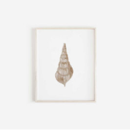 Aquarellbeige-Muschelprägung Poster