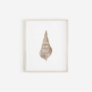 Aquarellbeige-Muschelprägung Poster