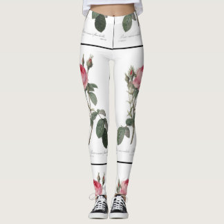 Aquarellbild mit blassen, rosafarbenen, alten Rose Leggings