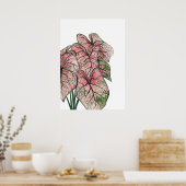 Aquarellbilder in Rosa Caladium Poster (Küche)