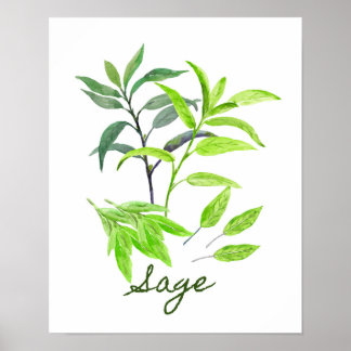 Aquarellbilder Poster