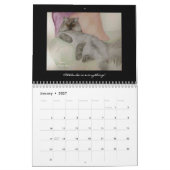 Aquarellbilder von Nans Kalender (Jan 2027)