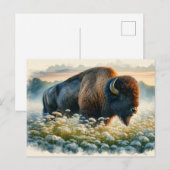 Aquarellbison Weiße Wildblumen Postkarte (Vorne/Hinten)