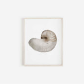 Aquarellbläser Poster