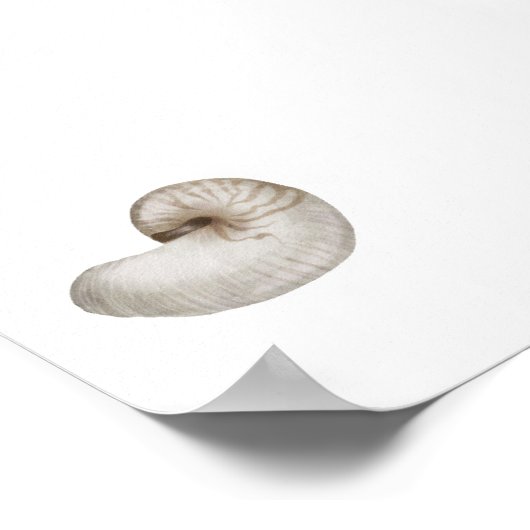 Aquarellbläser Poster (Ecke)