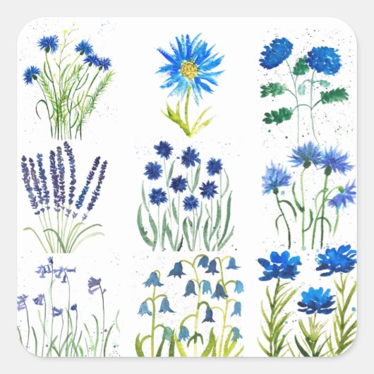 Aquarellblau Blumen Sammlung Chic rustikal Quadratischer Aufkleber (Vorderseite)