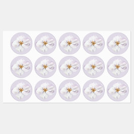 Aquarellblütenblüte Blume Siegel der Hülle Etiketten