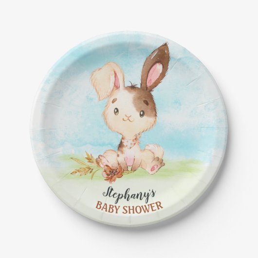 Aquarellduschenfarm Pappteller (Vorderseite)