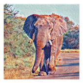 Aquarellelefant Poster (Vorderseite)