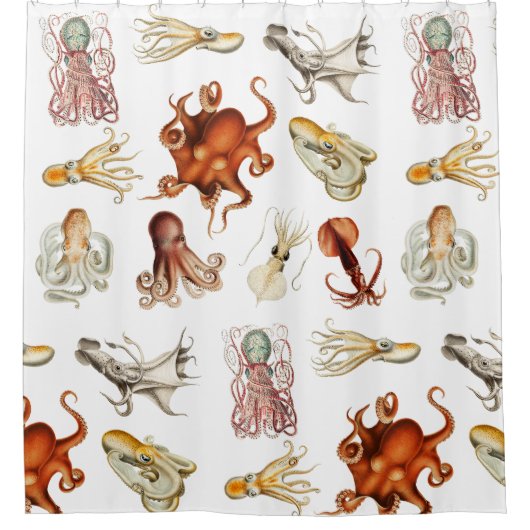 Aquareller Cephalopod Duschvorhang (Vorderseite)